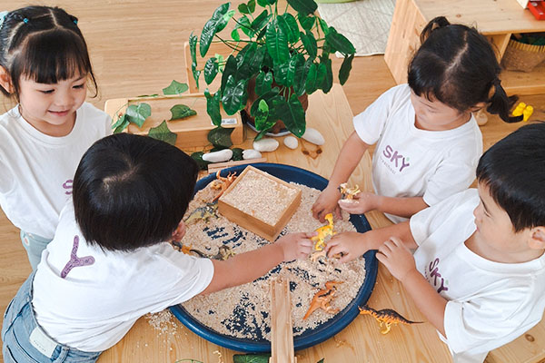 Igniting Curiosity Through Collaborative Play